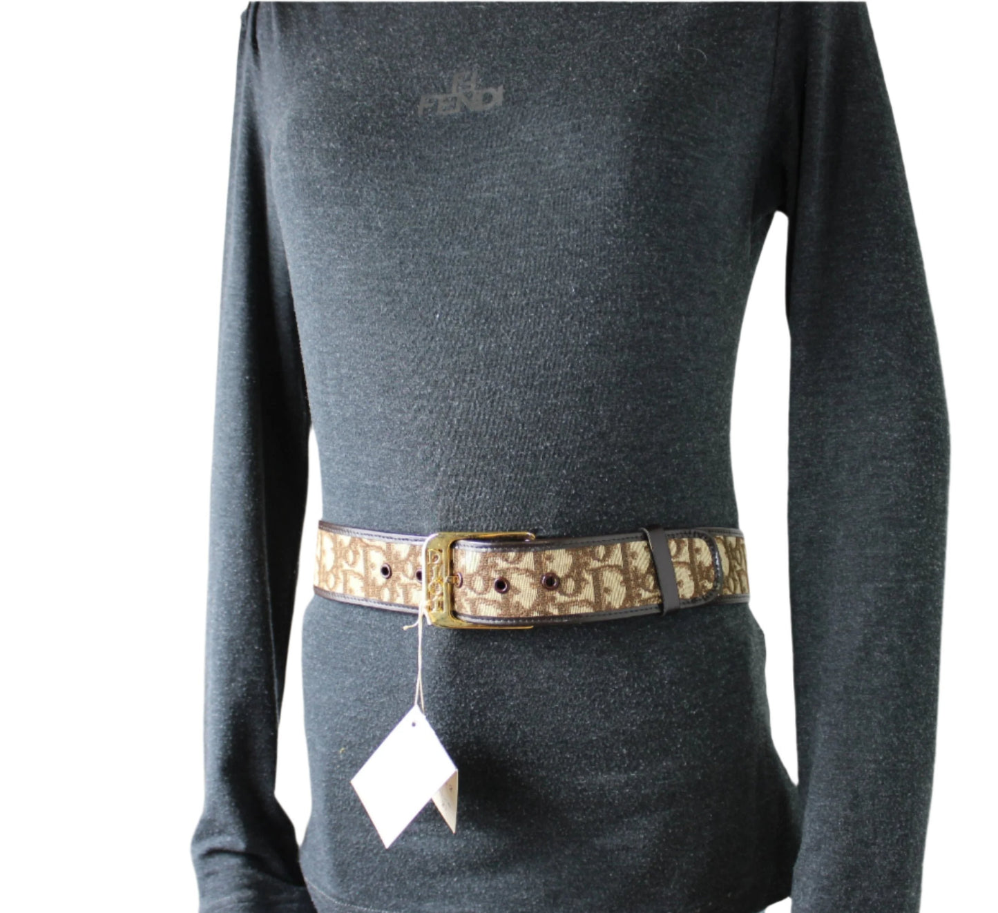 Christian Dior Brown Canvas Trotter Belt Gold Buckle