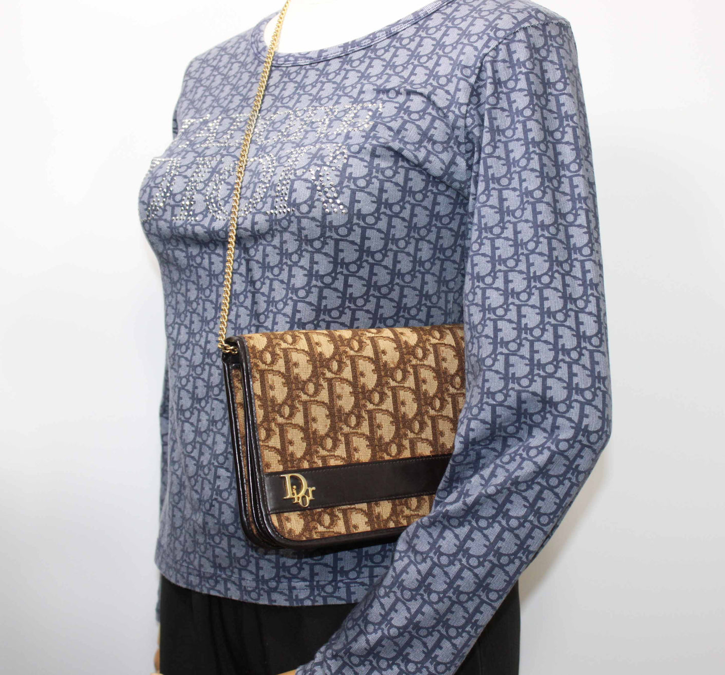 Christian Dior Brown Trotter Canvas Chain Crossbody Bag