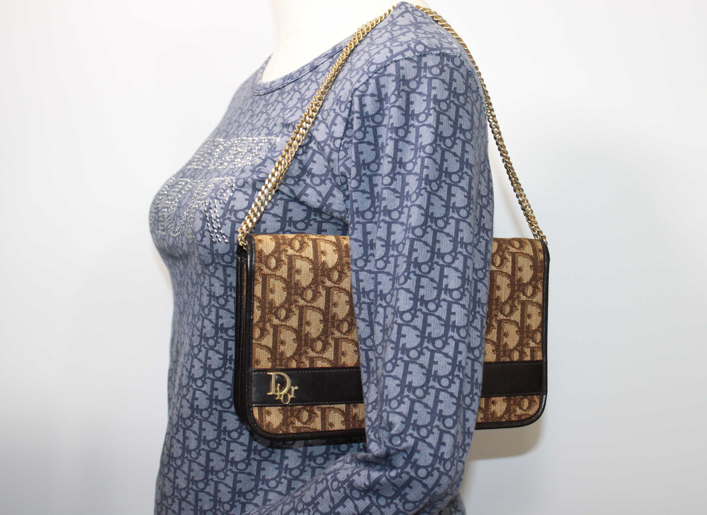 Christian Dior Brown Trotter Canvas Chain Crossbody Bag
