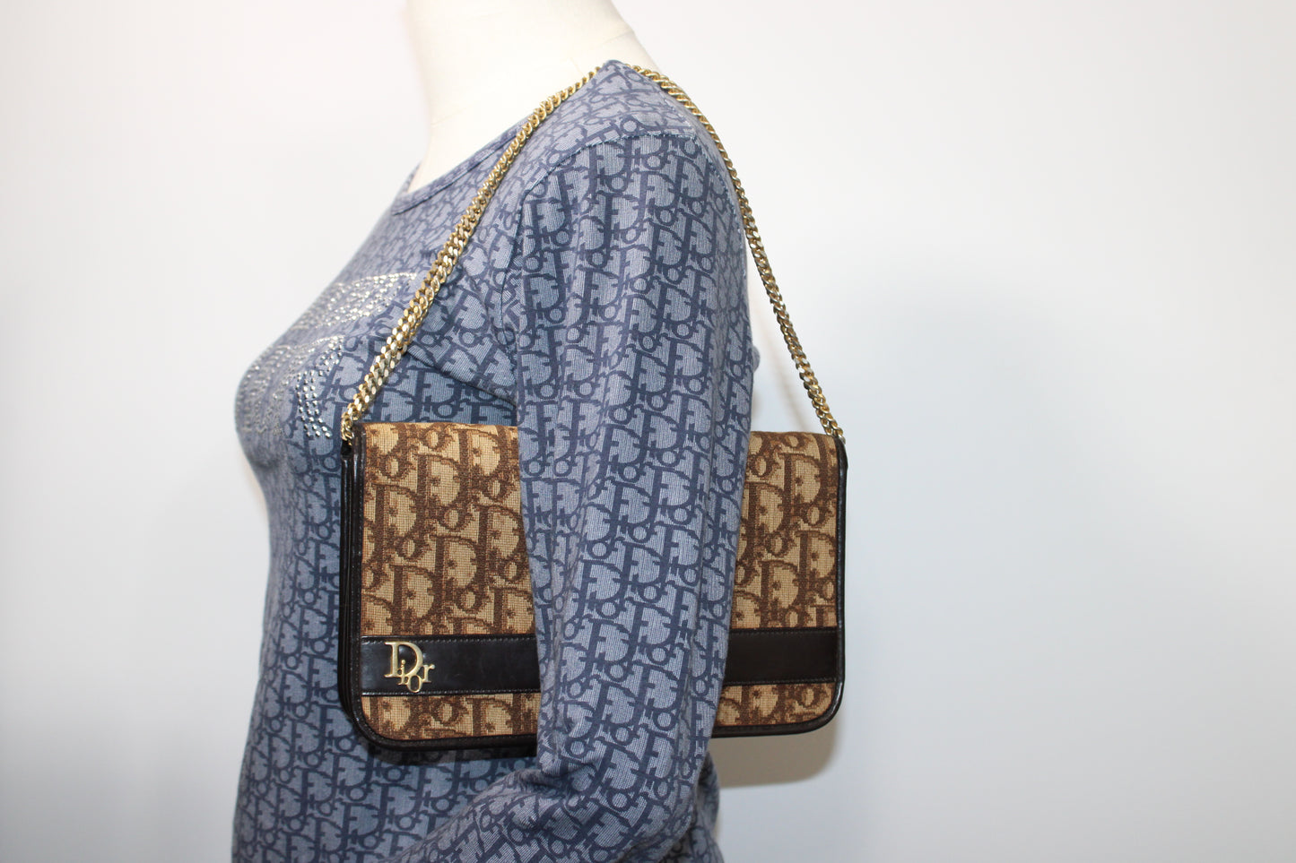 Christian Dior Brown Trotter Canvas Chain Crossbody Bag