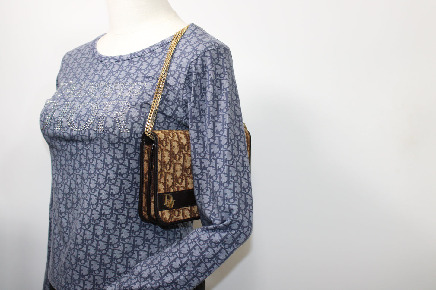Christian Dior Brown Trotter Canvas Chain Crossbody Bag