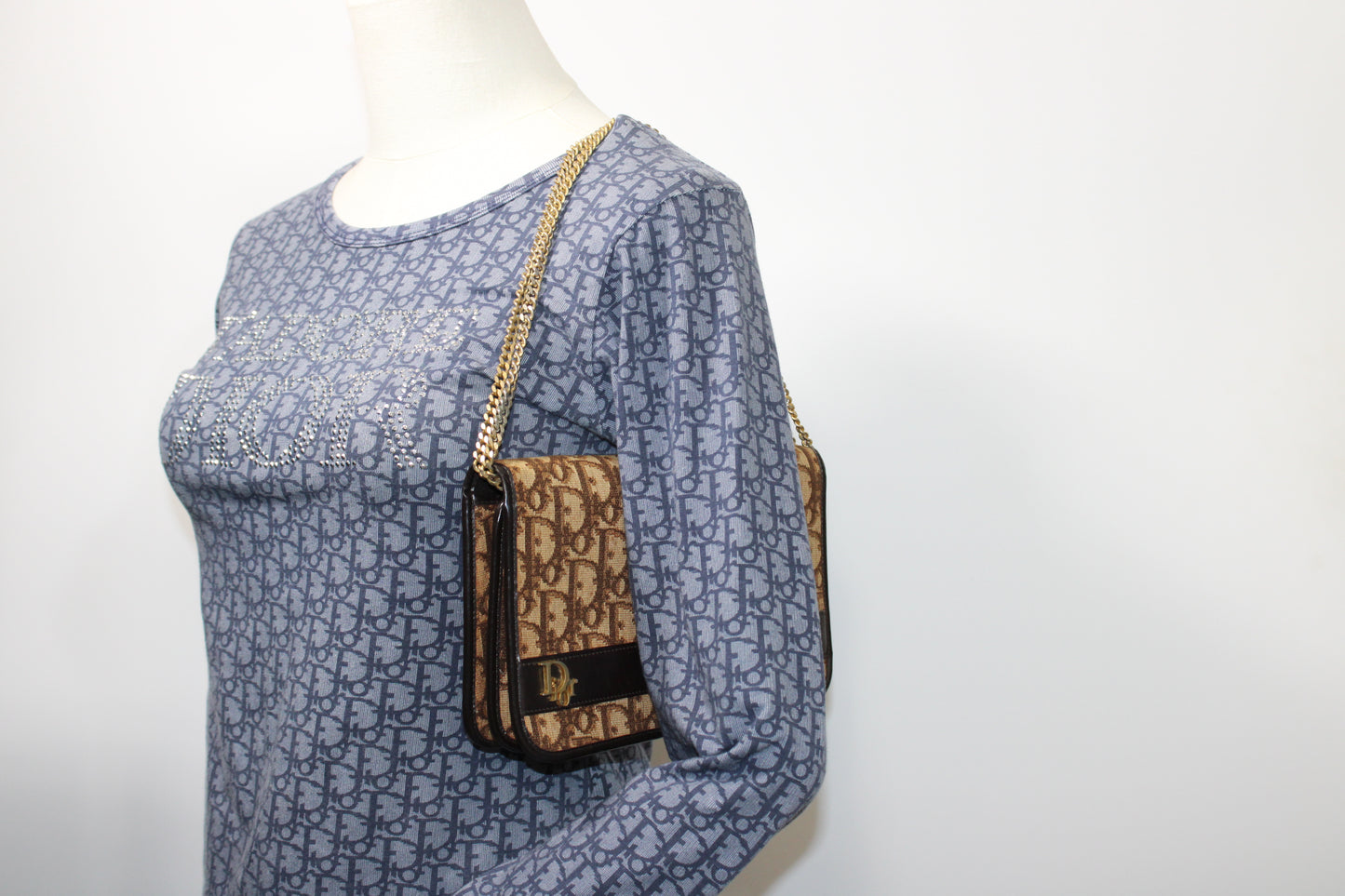 Christian Dior Brown Trotter Canvas Chain Crossbody Bag
